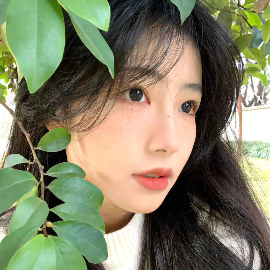 克什米尔档案